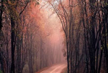 按钮开关的常闭和常开,按钮开关的常闭和常开接线方法