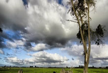 有人说刻度盘大肯定比刻度,刻度盘的读数