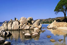 旋转开关标识贴纸,旋转开关画法